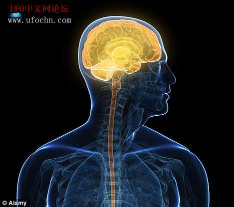 科学家研制出“人造小脑” 在老鼠身上试验成功373 / 作者:心灵 / 帖子ID:7340