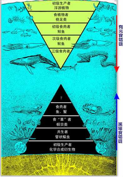 地球上有哪些超出常人想象的自然现象？775 / 作者:dzlqsq / 帖子ID:31352