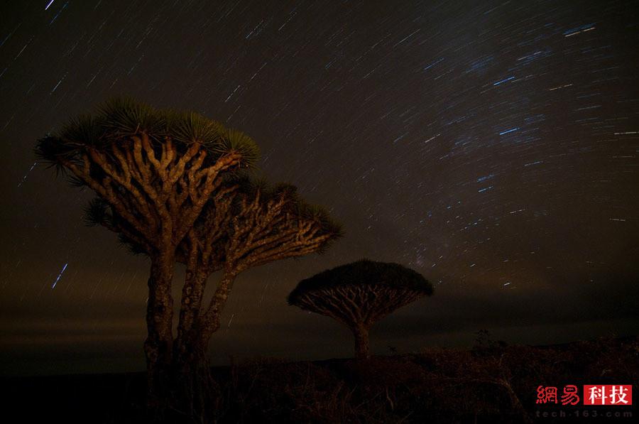 索科特拉岛是“地球上最像外星的海岛”939 / 作者:UFO外星人爱好者 / 帖子ID:31698