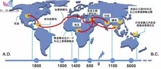 我们吃的香蕉是“替补”品种？830 / 作者:UFO外星人爱好者 / 帖子ID:31783