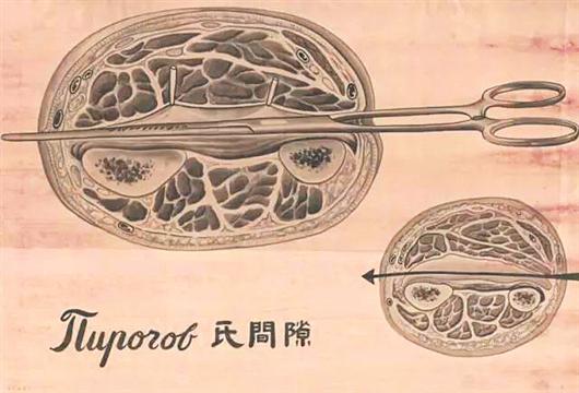 太牛逼了！医生被医学“耽误”了的画家747 / 作者:UFO外星人爱好者 / 帖子ID:32297