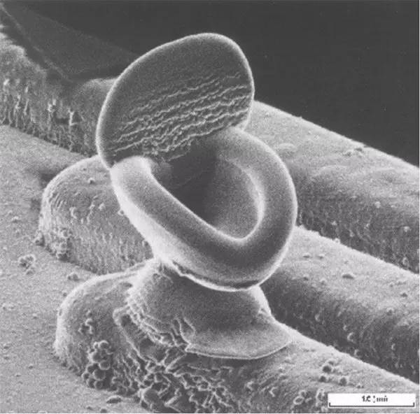 新的技术能做出更精准、更透明的3D打印玻璃器件了307 / 作者:UFO外星人爱好者 / 帖子ID:34156