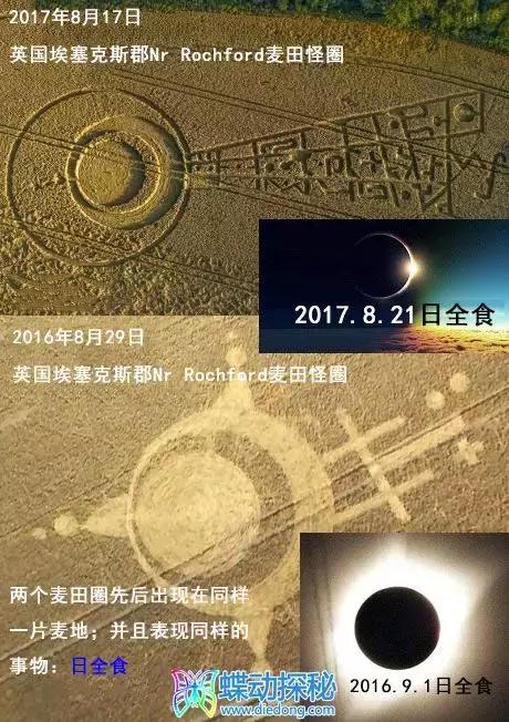 2017年8月17日英国埃塞克斯郡麦田怪圈222 / 作者:eason320hk / 帖子ID:34531