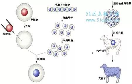 人类面临的世界十大难题 你能解开吗？79 / 作者:tgboler / 帖子ID:41303