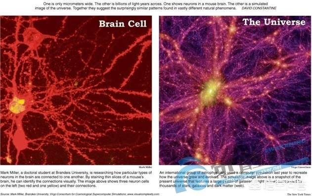 宇宙结构与人类大脑神经元极为相似，宇宙会是意识体吗？31 / 作者:wanggechou / 帖子ID:43490