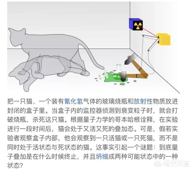 为什么有“两个宇宙”的说法？那么“多重宇宙”的说法是否成立？155 / 作者:wuqunce / 帖子ID:43506