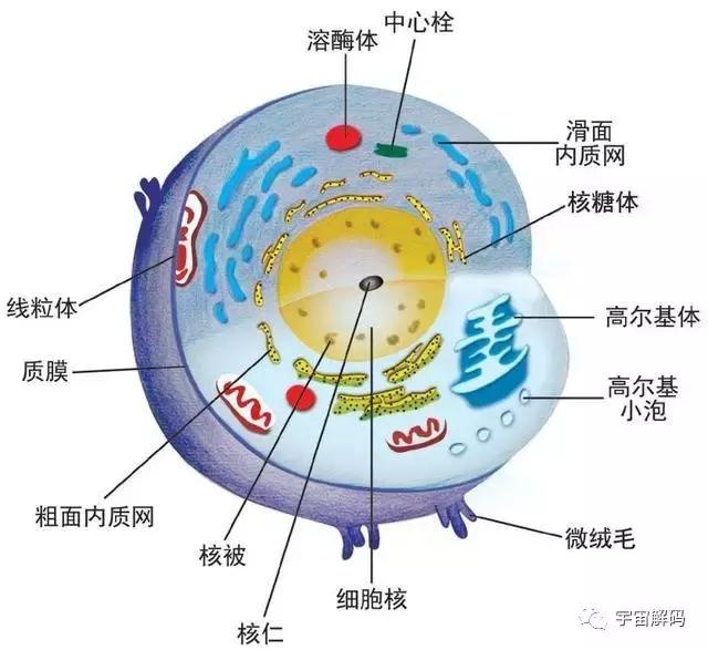 平行世界中的“9层宇宙”到底是什么？576 / 作者:keajoo / 帖子ID:45249