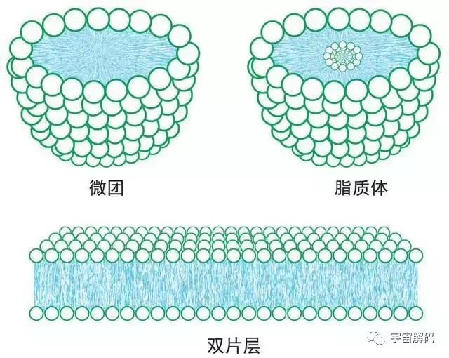 平行世界中的“9层宇宙”到底是什么？110 / 作者:keajoo / 帖子ID:45249