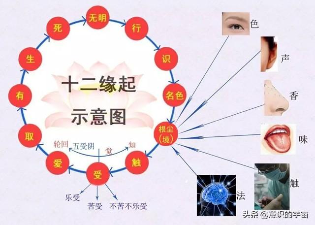 挠场与量子力学、佛学、道学的关系，揭开更多宇宙、生命奥秘554 / 作者:BIGBON / 帖子ID:45642