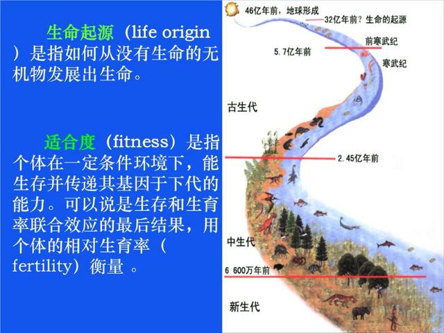 生命起源于地球还是来自太空？其实它是宇宙的创造，而且它很励志953 / 作者:lkamxmk / 帖子ID:45869