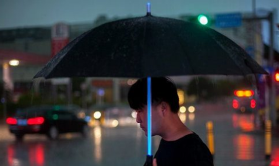 奇形怪状的雨伞你都见过吗-15把极其独特的雨伞330 / 作者:UFO外星人爱好者 / 帖子ID:47794