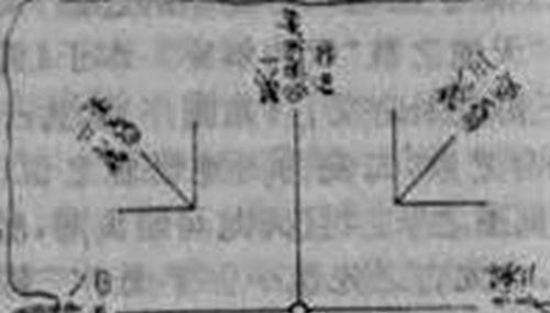 《河图》《洛书》之谜,河洛数字能推算生死503 / 作者:小深 / 帖子ID:48982