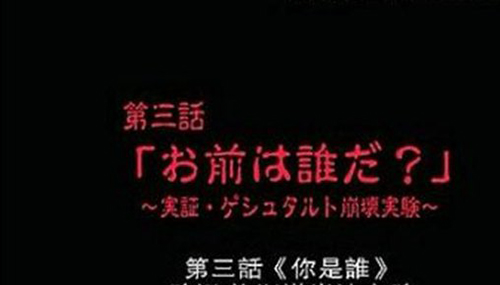 格斯塔崩溃实验之谜,日本人亲测247 / 作者:小深 / 帖子ID:49089