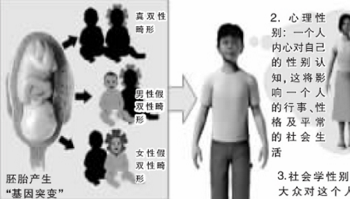 雌雄难辨的两性人，拥有两套生殖器官996 / 作者:网上的人生 / 帖子ID:48841