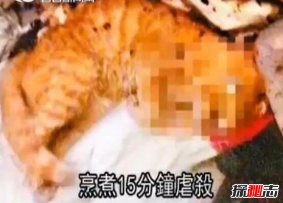 微波炉虐猫事件视频，嫌吵将猫放进微波炉15分钟活活烧死523 / 作者:网上的人生 / 帖子ID:49610