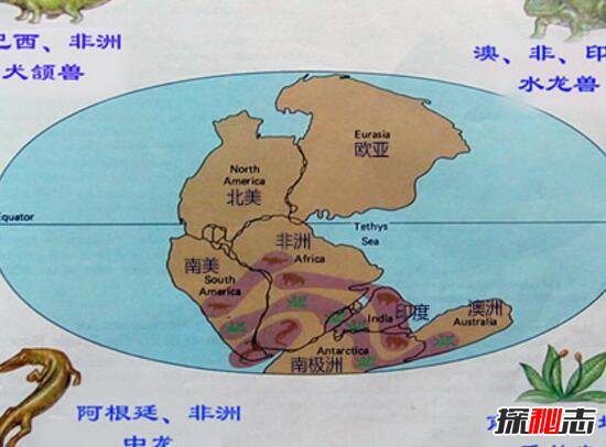 大陆漂移之谜，大陆漂移的假说_大陆漂移证据655 / 作者:网上的人生 / 帖子ID:49589