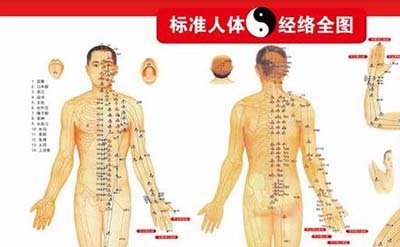 古代人体经络之谜，经脉维系着生命活力_决断人的生死30 / 作者:网上的人生 / 帖子ID:49820