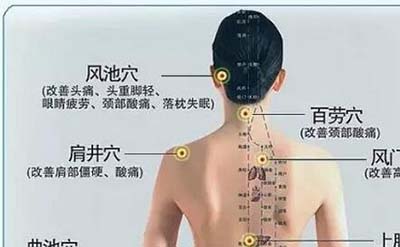 古代人体经络之谜，经脉维系着生命活力_决断人的生死582 / 作者:网上的人生 / 帖子ID:49820