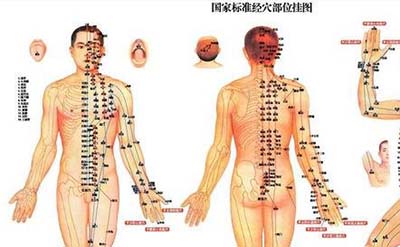 古代人体经络之谜，经脉维系着生命活力_决断人的生死955 / 作者:网上的人生 / 帖子ID:49820