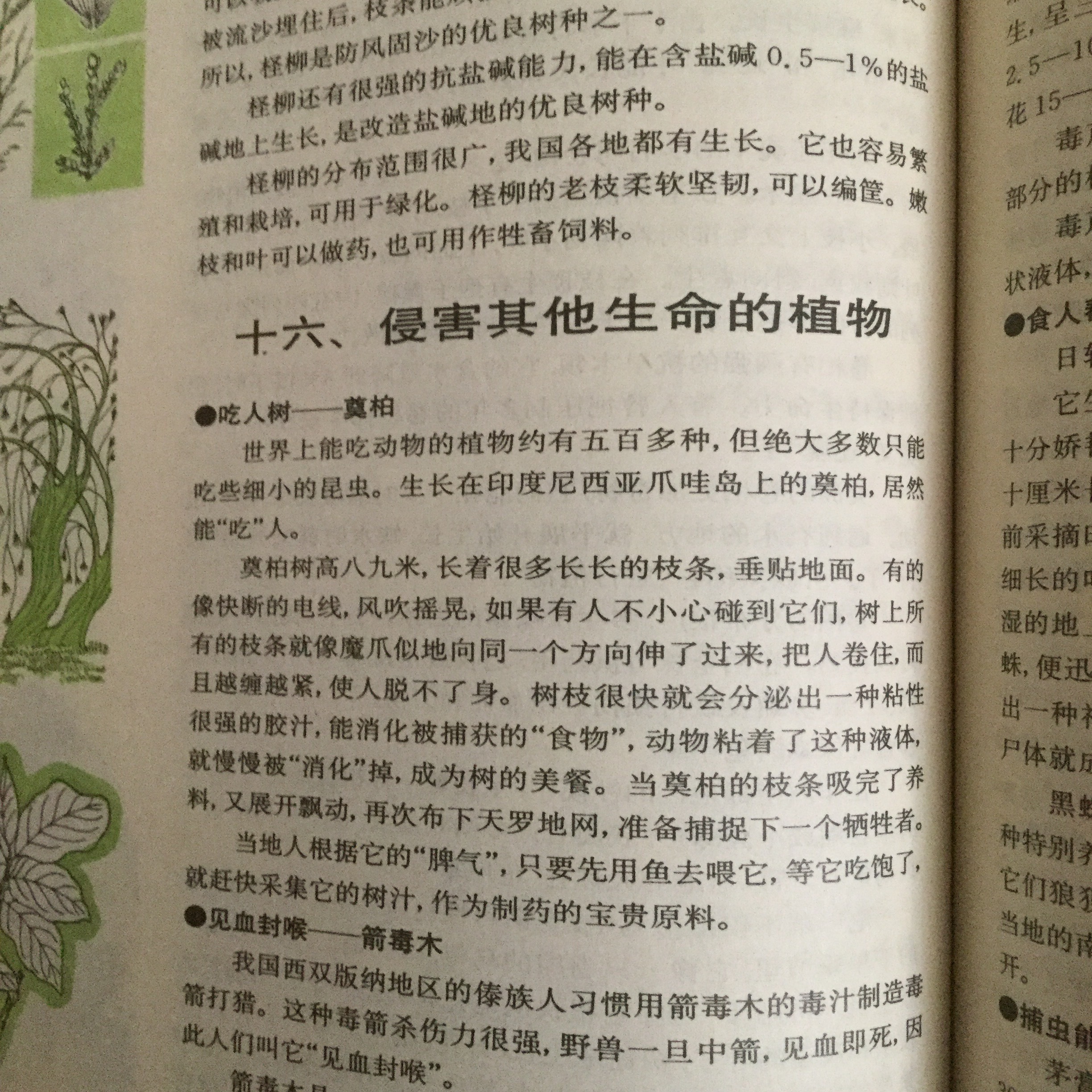 有哪些世界未解之谜被证明是骗局?54 / 作者:6363 / 帖子ID:49983