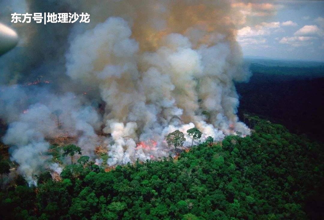 被誉为“地球的肺”的亚马孙雨林正在燃烧，为何当地不为所动？503 / 作者:武汉嘉瑞 / 帖子ID:52393