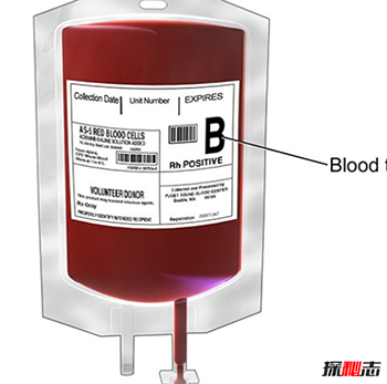 哪种血型最好-关于血型的18大真实信息129 / 作者:网上的人生 / 帖子ID:52890