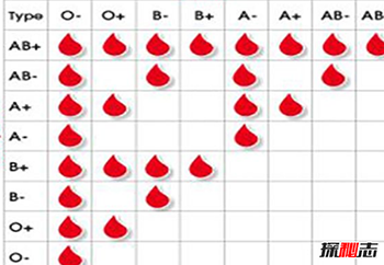 哪种血型最好-关于血型的18大真实信息378 / 作者:网上的人生 / 帖子ID:52890