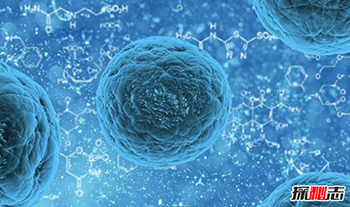 宇宙大小已被科学家证实-人类最伟大的十个科学发现295 / 作者:网上的人生 / 帖子ID:52967