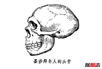 揭秘圣沙拜尔人：智商低于现代人667 / 作者:网上的人生 / 帖子ID:52968