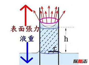 揭秘立筷子的科学解释，实则物理中的一种毛细现象798 / 作者:网上的人生 / 帖子ID:52943