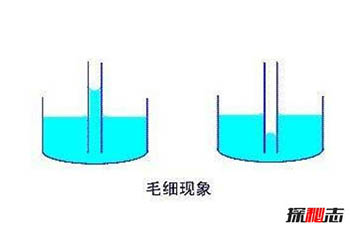 揭秘立筷子的科学解释，实则物理中的一种毛细现象989 / 作者:网上的人生 / 帖子ID:52943