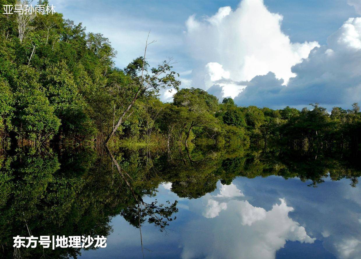 如果没有了南美亚马孙雨林，对我国气候会有什么影响？759 / 作者:小太阳823 / 帖子ID:53312