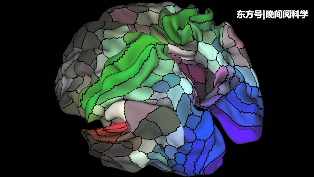 人类大脑停止进化了？科学家深入研究，最终证实了这一发现150 / 作者:凌8乱 / 帖子ID:53830