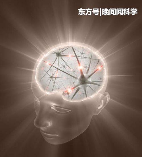 人类大脑停止进化了？科学家深入研究，最终证实了这一发现551 / 作者:凌8乱 / 帖子ID:53830