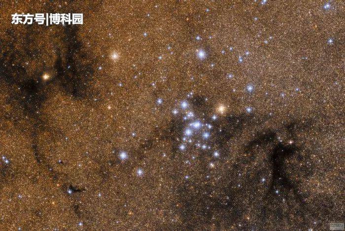 又在银河系中发现一个疏散星团，由大约100颗恒星组成！196 / 作者:贰十岁装成熟装s / 帖子ID:54118