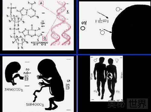 盘点旅行者号“金唱片”传递给外星人的内容124 / 作者:UFO来啦 / 帖子ID:65157