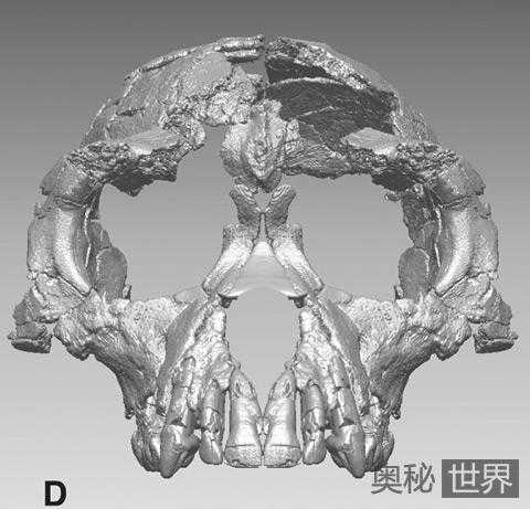 考古历史上十大古生物发现803 / 作者:UFO来啦 / 帖子ID:65549