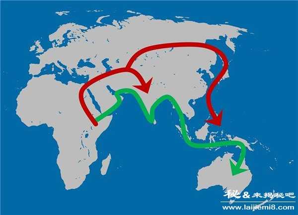 人类多次从非洲迁徙到其它大陆628 / 作者:UFO外星人爱好者 / 帖子ID:58000