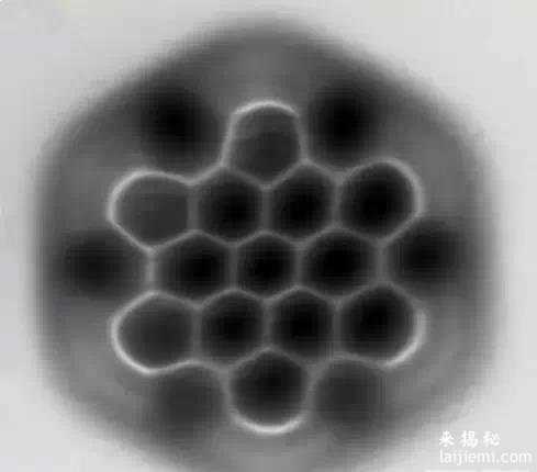 地球那些骇人真相：曾经活过1150亿人639 / 作者:UFO来啦 / 帖子ID:63258