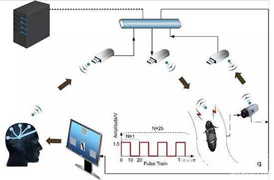 上海交大学生用意念控制蟑螂703 / 作者:UFO外星人爱好者 / 帖子ID:59924