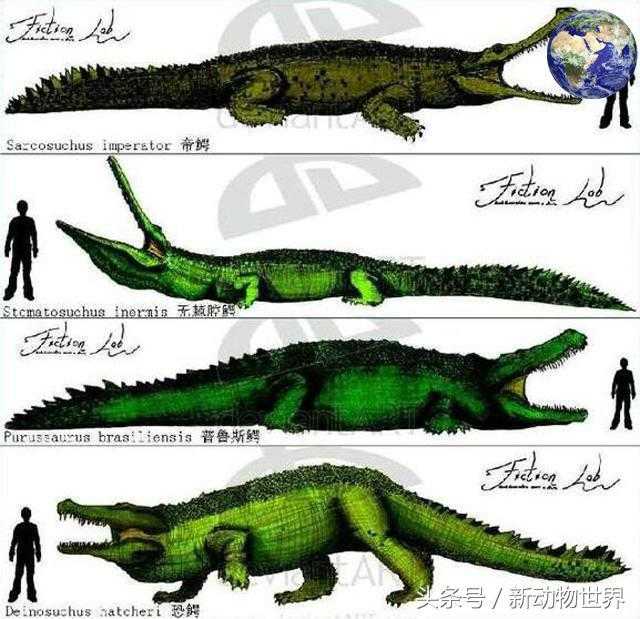 巨型鳄鱼：帝鳄、无棘腔鳄、普鲁斯鳄、恐鳄，每一种都可以单挑霸王龙！785 / 作者:UFO来啦 / 帖子ID:63641