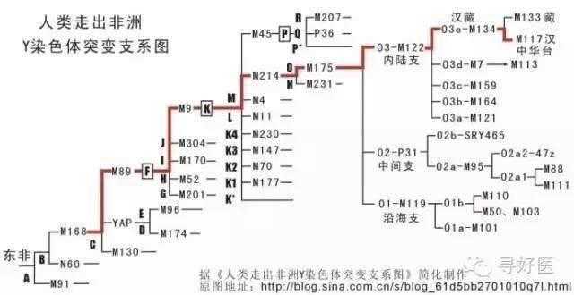 科学家：人类祖先竟是同一个非洲女人？996 / 作者:UFO来啦 / 帖子ID:65358