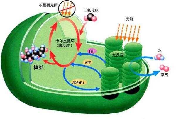 这种能源就在我们身边，若掌握它的奥秘，煤石油将被淘汰！110 / 作者:UFO外星人爱好者 / 帖子ID:58936