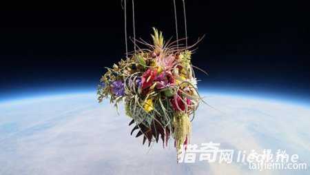 10种被送上太空的奇葩物品：DNA和精液438 / 作者:UFO来啦 / 帖子ID:61170