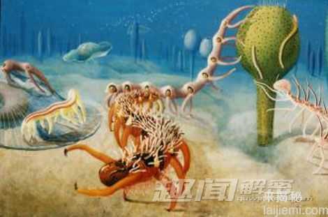 怪诞虫：5亿年前神秘古生物长这样？960 / 作者:UFO外星人爱好者 / 帖子ID:59798