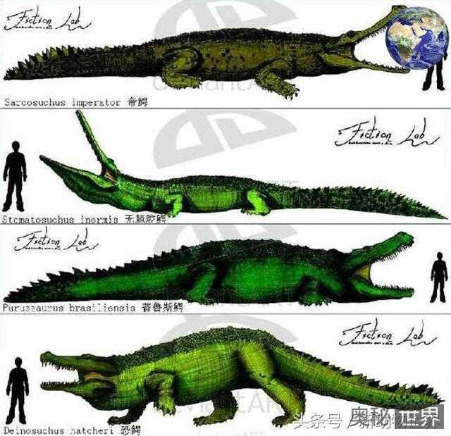 能单挑霸王龙的四种巨型鳄鱼18 / 作者:UFO外星人爱好者 / 帖子ID:59631