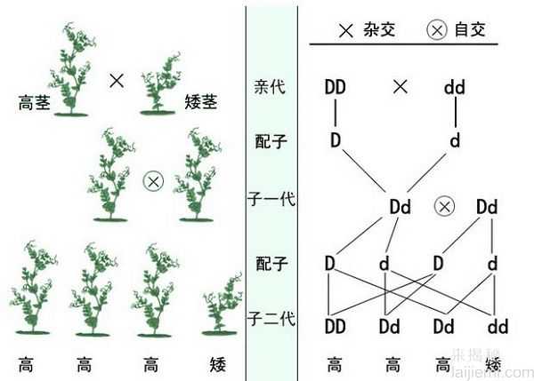 震惊！10大改变世界历史的重大事件409 / 作者:UFO来啦 / 帖子ID:66095