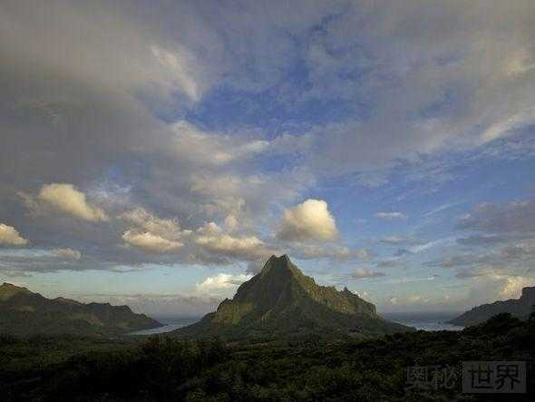 有毒的长棘海星入侵南太平洋  珊瑚礁大量死亡 岛屿生态瘫痪19 / 作者:UFO来啦 / 帖子ID:64255