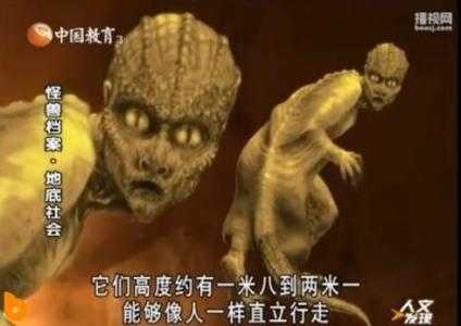 蜥蜴人之谜，蜥蜴人真实存在吗727 / 作者:UFO外星人爱好者 / 帖子ID:59902