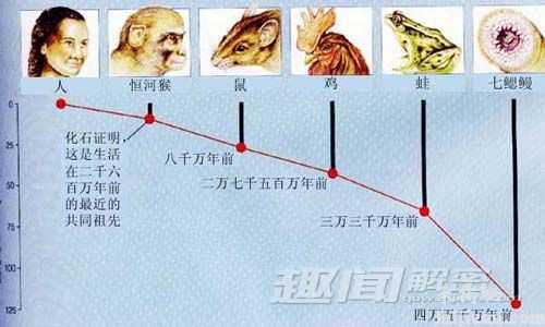 生物进化的十大奇迹 超个体现象686 / 作者:UFO来啦 / 帖子ID:64963